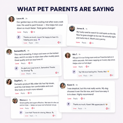 Pet Cooling Mat